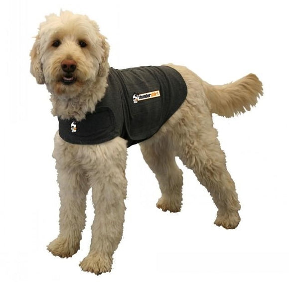 Thunder Shirt